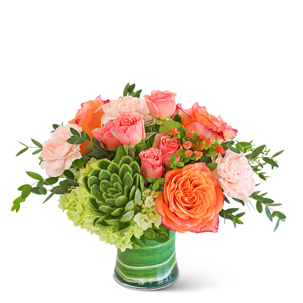 Coral Calma with Succulents