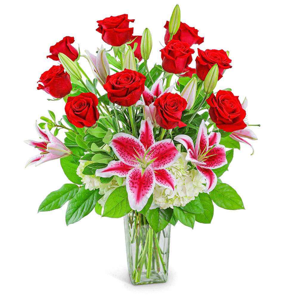 Send the traditional rose bouquet in a modern way! 12 long-stem red roses are artfully designed by our expert florist with this fresh, romantic arrangement featuring Roses, Hydrangea, Lilies, and premium foliage. Our Enchanting Dozen is a perfect gift for anniversaries, birthdays, a housewarming gift, Valentine's Day, or any occasion!