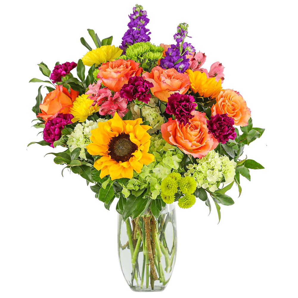Send flowers that capture the true beauty of each season with Luxe Seasonal Blooms. These beautiful flowers are delivered in a stylish glass vase, filled with roses, carnations, sunflowers, hydrangea, Alstroemeria, Mums, stock, and premium foliage. Luxe Seasonal Blooms is a stunning display of long-lasting flowers to show someone how much you care.
