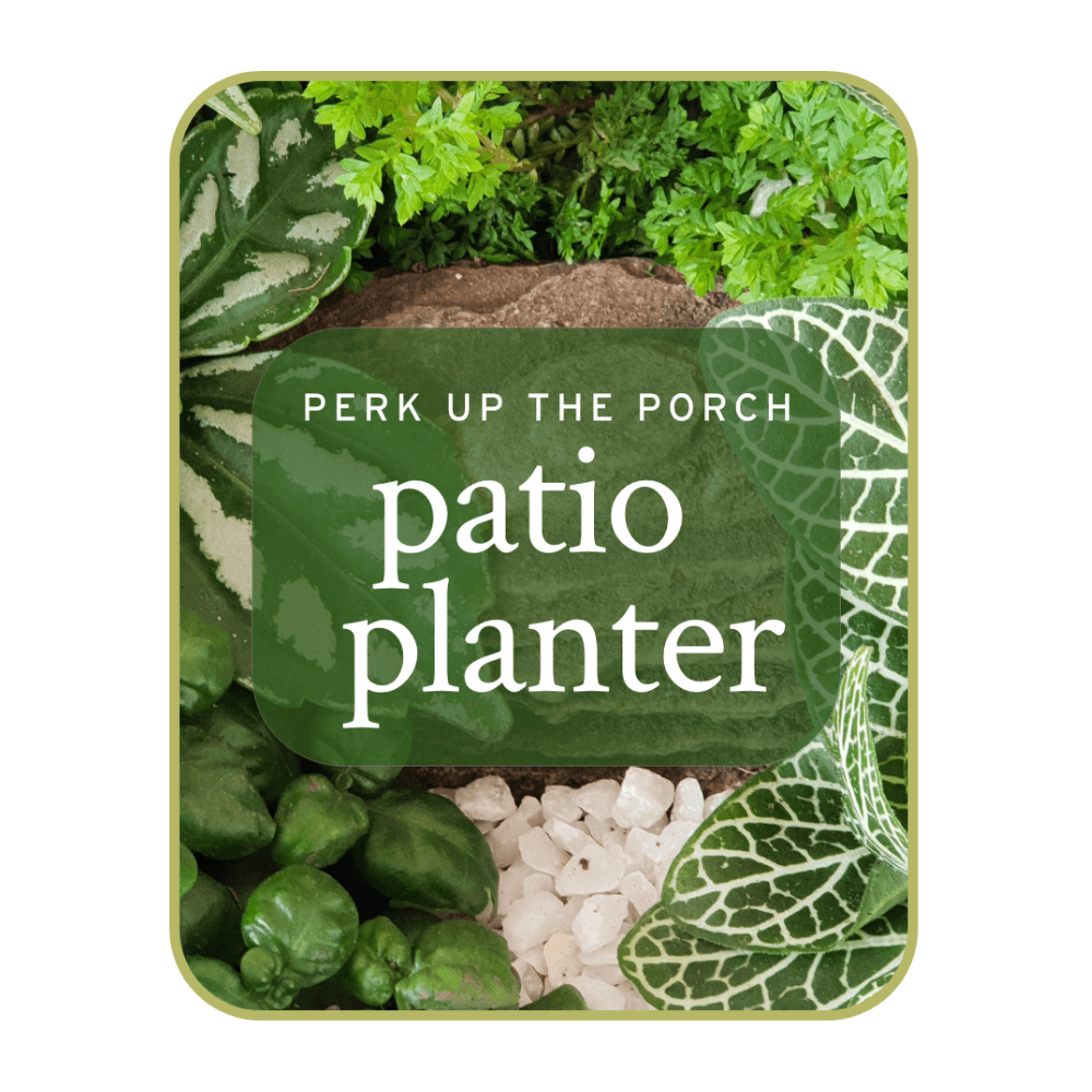 Do you want to add a little something special to the porch, but you don't have a green thumb? We've got you covered with our patio planter. It's sure to make your mom feel extra special when she receives this as a Mother's Day gift, or just because you want her to be happy! Perk up your porch with one of our gorgeous patio planters.