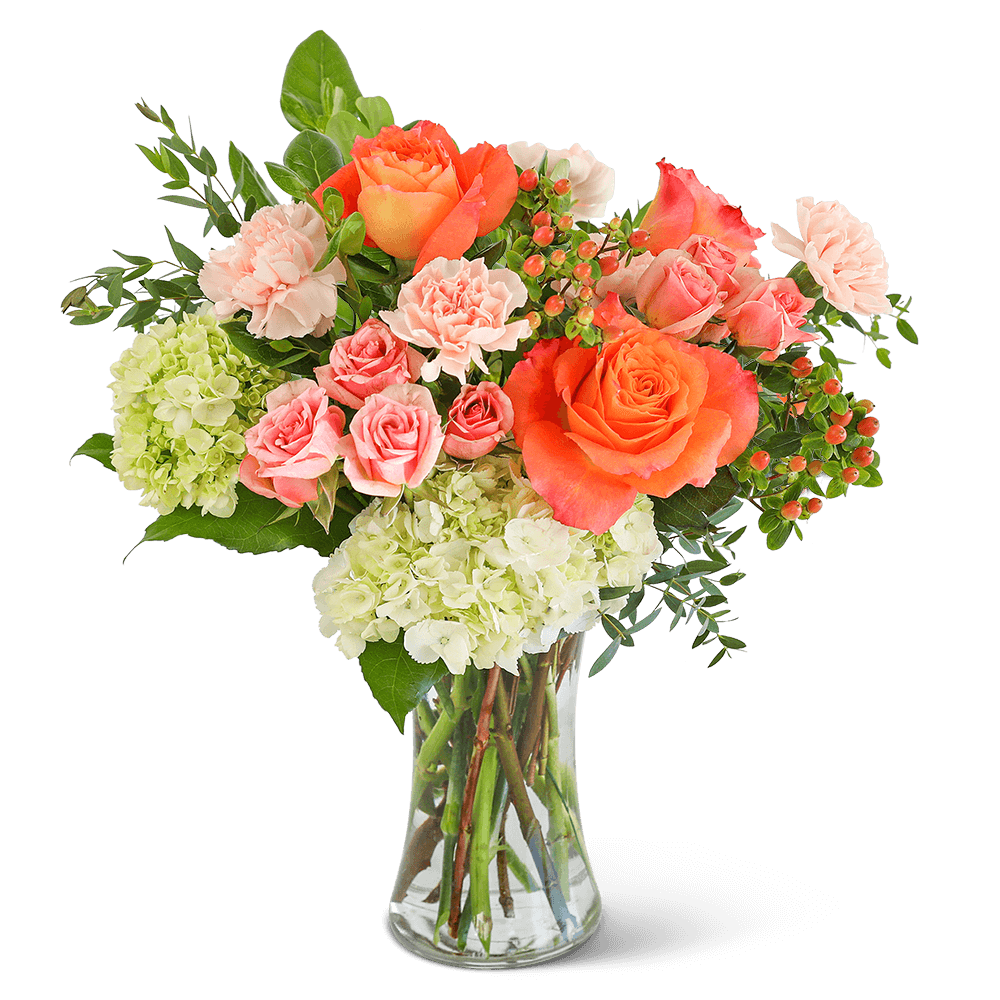 Send a message of love and hope with this beautiful flower arrangement. Brighten someone's day with the Malibu Sun flower design. Its highlighted flowers include Free Spirit Roses, carnations, hydrangea, spray roses, and assorted foliage. A stunning arrangement of fresh flowers is designed to brighten the room and lift the spirit, making someone’s birthday or get-well gift extra special.