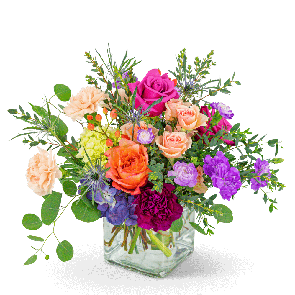 Kaleidoscope Dream is the perfect birthday or anniversary gift. Let us help make their day with this special flower delivery! The rich tones of this arrangement will add a pop of color to any space. It features Hydrangea, Roses, Carnations, and other premium foliage. 