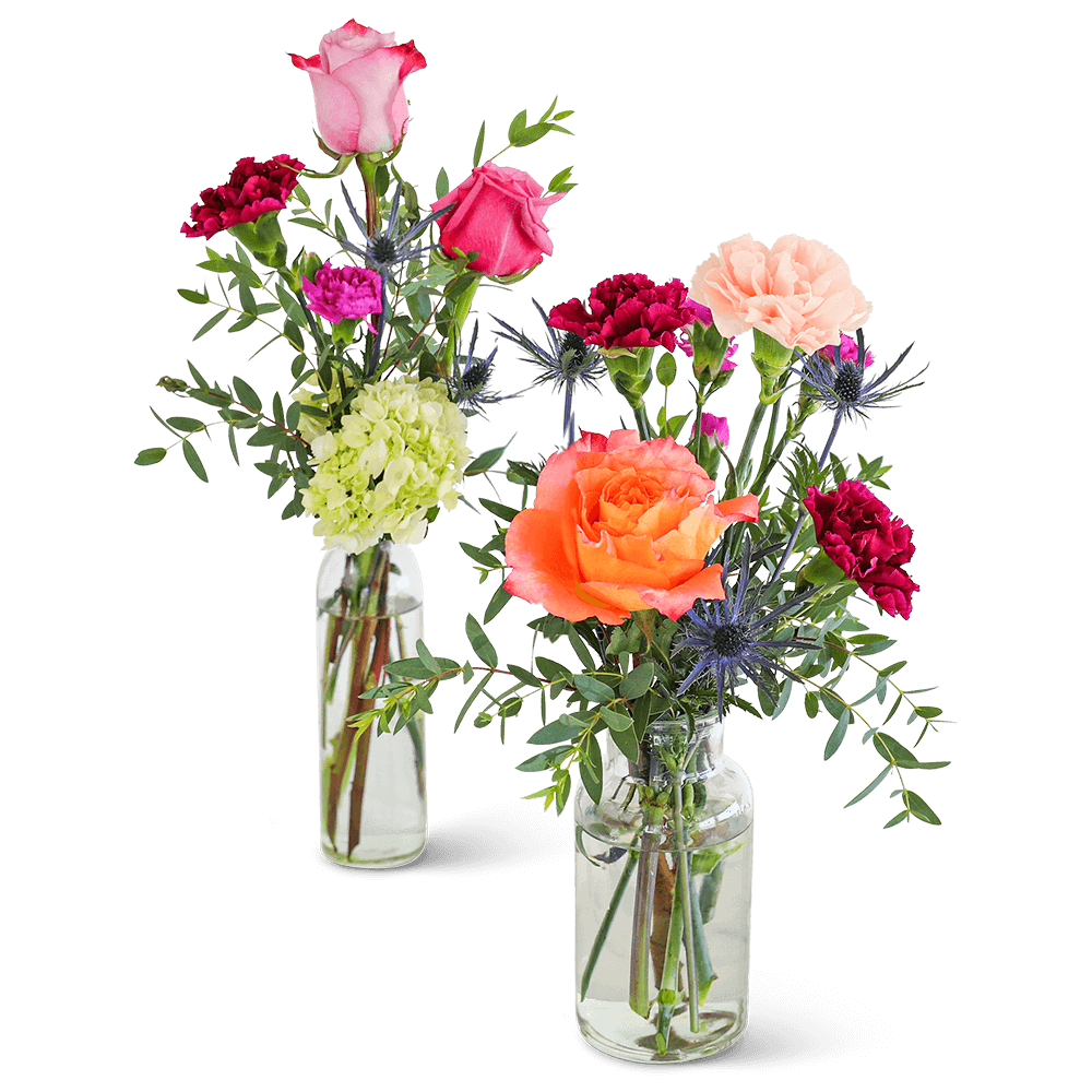 Bottles of Prismatic Buds are the perfect birthday or get-well gift. Let us help make their day with this special flower delivery! If you want us to deliver flowers, but want something out of the ordinary, we suggest our Bottles of Prismatic Buds. It features beautiful roses, hydrangeas, carnations, and other premium foliage that will add prismatic pops of color to any space. *Vases may vary.