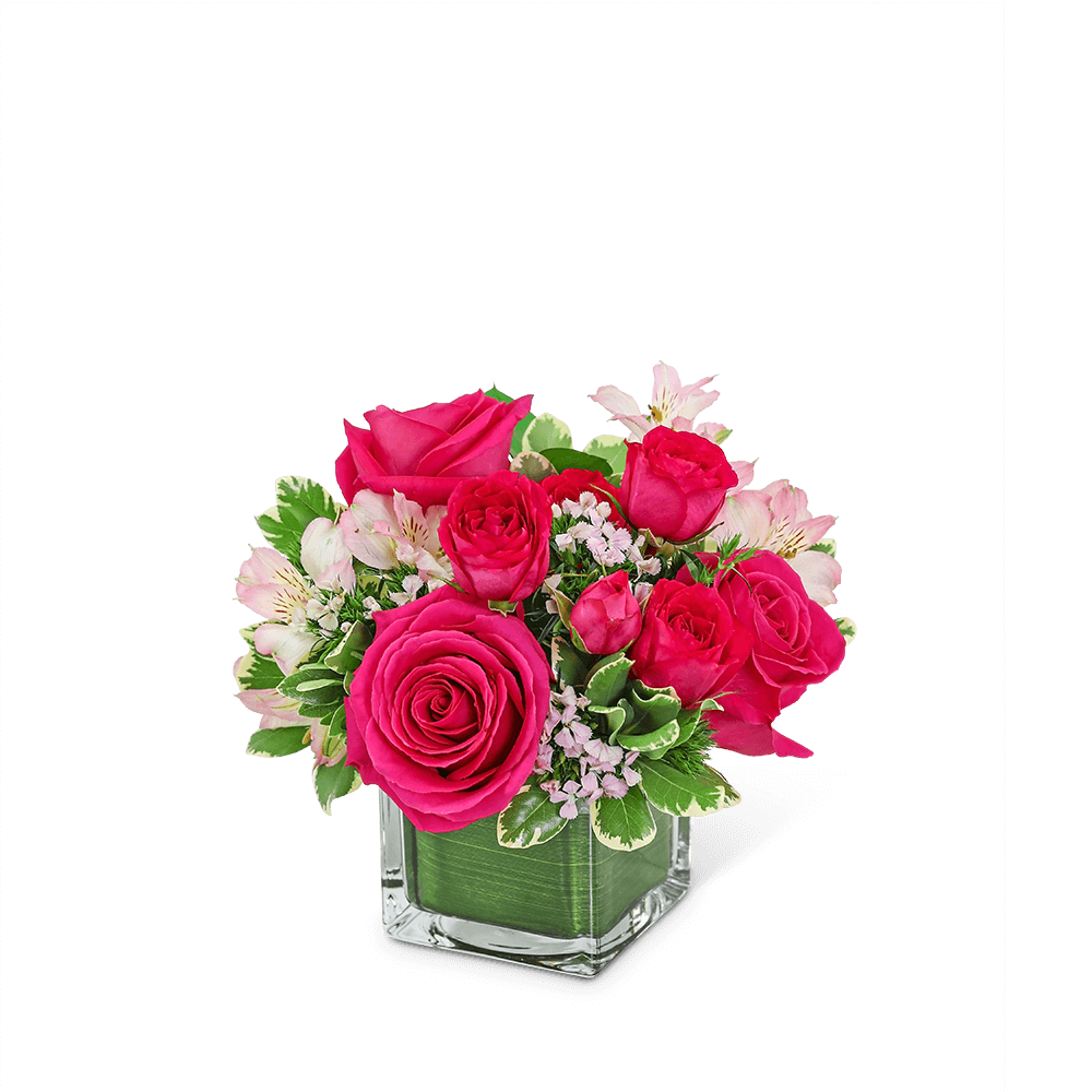 If you’re looking for an easy way to brighten someone’s day, this is it! Cosmo Cutie has a combination of bright pink roses, alstroemeria, and beautiful fresh foliage in a leaf-lined vase. This chic bouquet will light up any room or space and is the perfect gift for any occasion.