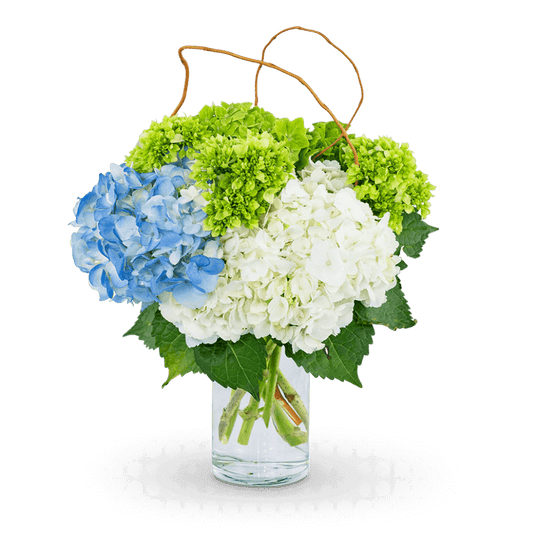 Say it with Flowers! Hydrangea Perfection is the perfect design to warm up any home or office space. Blue, green, and white hydrangea with curly willow, artfully designed in a clear vase, will make the perfect accent to any room. You can't go wrong with this timeless look!