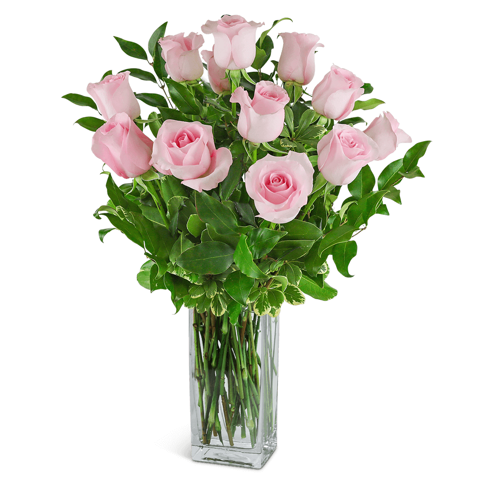 Everyone is crazy about our pink roses! Pink roses symbolize femininity, elegance, grace, and sweetness. Send pink roses to celebrate a special occasion, convey gratitude, or to say thank you. This dozen pink rose arrangement, along with the perfect accent foliage, will be sure to make someone's day very special.
