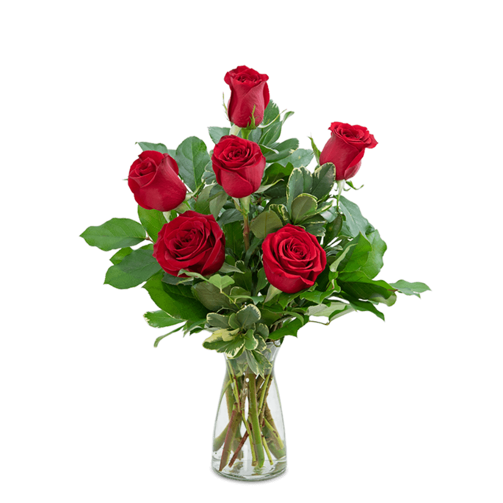 Red roses have always been the symbol of love and romance, and continue to be the best way to send your love. Express your feelings with these half dozen charming red roses, complemented with premium foliage. Say I love you with this classically simple and romantic gift.