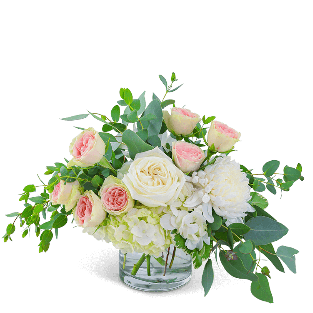 Awaken the senses as you walk into your own romantic floral fantasy! Traditional roses, contemporary mums, and playful hydrangea mix to create a stunning bouquet! Blushing Beauty is bursting with blossoms and arranged in an eye-catching clear glass vase, accented with premium foliage. A shop favorite, this timeless beauty is perfect for any occasion! 